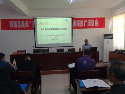 郧西县举办2019年蔬菜“三减三增”健康栽培技术协同推广培训班 新材料技术助力绿色农业发展